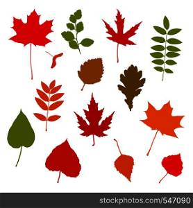 Set of fall leaves isolated on white background. Maple, oak, birch, rowan etc. Vector autumn illustration