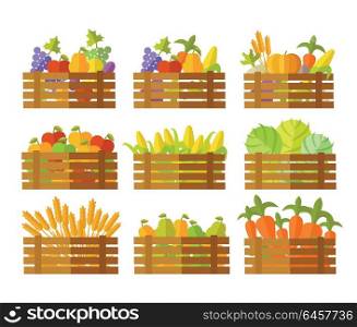 Set of farming products vector illustrations. Wooden boxes full of fruits, vegetables, cereals. Flat design. Collection for delivery farm products, grocery store assortment, foods for diet concepts. . Set of Boxes With Fruits and Vegetables in Vector.