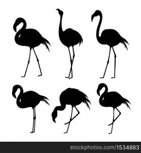 Set of Flamingo Animal Bird Black Silhouette Icon Vector