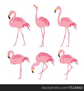 Set of Flamingo in the Nature, Animal Bird Cartoon Character Vector.