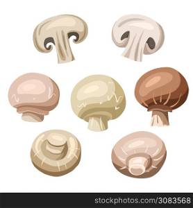 Set of flat hand drawn illustration of champignon mushrooms separately from background. Healthy natural food. Vector cartoon element for menus, recipes, labels and your design.. Set of flat hand drawn illustration of champignon mushrooms separately from background. Healthy natural food. Vector cartoon element