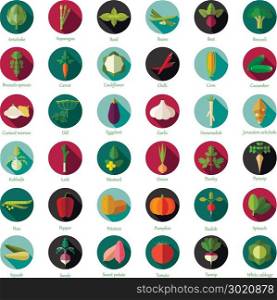 Set of flat round vegetable icons. Vector image of the Set of flat round vegetable icons