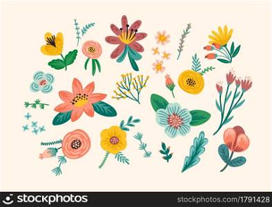 Set of floral design elements. Leaves, flowers, grass branches berries Vector illustration. Set of floral design elements. Vector illustration.