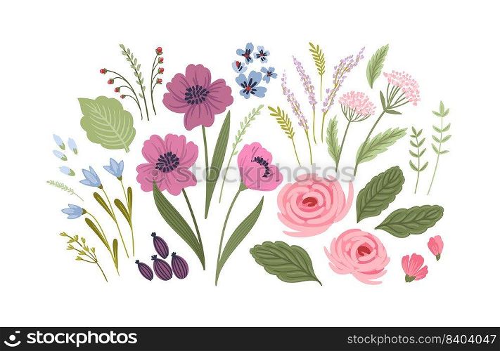 Set of floral design isolated elements. Leaves, flowers, grass, branches Vector illustrations. Set of floral design isolated elements. Leaves, flowers, grass, branches Vector