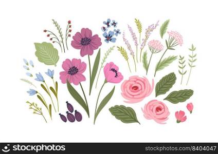 Set of floral design isolated elements. Leaves, flowers, grass, branches Vector illustrations. Set of floral design isolated elements. Leaves, flowers, grass, branches Vector