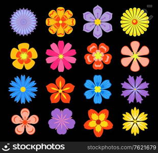 Set of floral elements and blossoms isolated on background