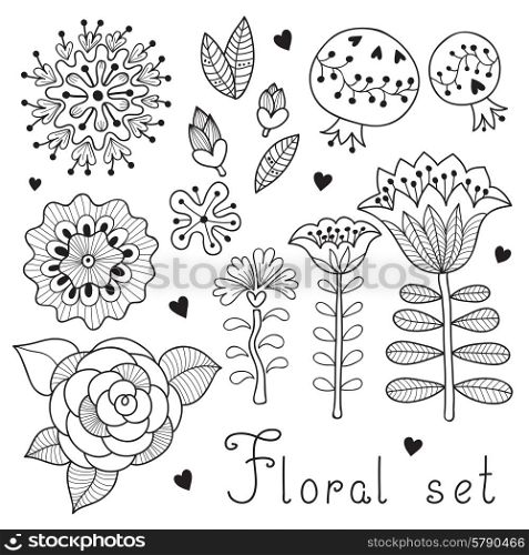 Set of floral elements isolated for your design. Vector illustration.