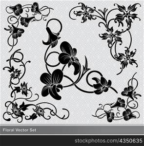 set of floral elements vector