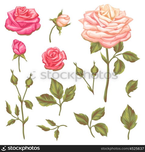 Set of floral elements with vintage roses. Decorative retro flowers. Objects for decoration wedding invitations, romantic cards.