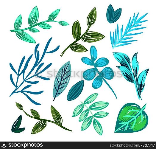 Set of floral patterns with leaves of different shapes, creative icons of herbs that are ornamental elements of vector illustration isolated on white. Set of Floral Patterns Poster Vector Illustration