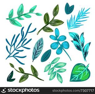 Set of floral patterns with leaves of different shapes, creative icons of herbs that are ornamental elements of vector illustration isolated on white. Set of Floral Patterns Poster Vector Illustration