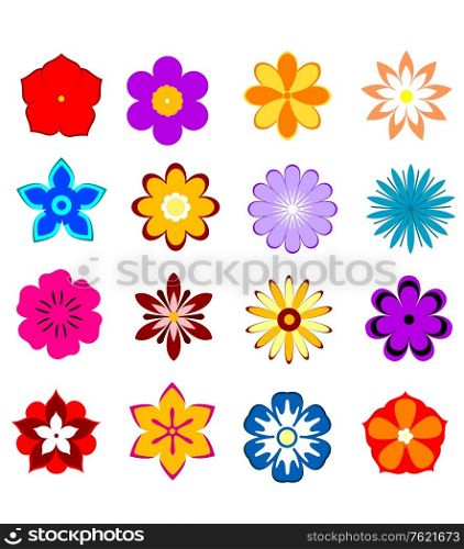 Set of flower blossoms and petals isolated on white background for design
