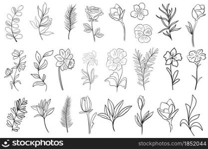 Set of flower leaves and branches for creating cards, banners and backgrounds vector illustration. Collection of hand drawing botanical elements. Graceful beautiful natural details for design.. Set of flower leaves and branches for creating cards, banners and backgrounds vector illustration.