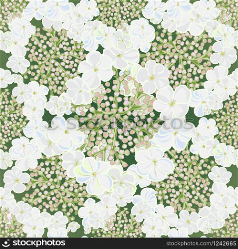 Set of flowers viburnum seamless background with leafs in realistic hand-drawn style. Vector illustration. Flowers viburnum seamless background with leafs in realistic hand-drawn style