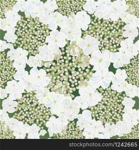 Set of flowers viburnum seamless background with leafs in realistic hand-drawn style. Vector illustration. Flowers viburnum seamless background with leafs in realistic hand-drawn style