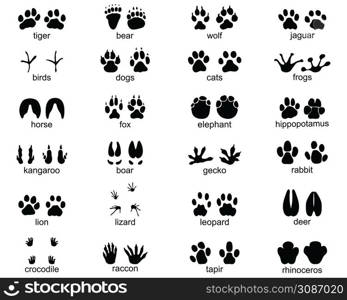 Set of footprints of wild animals, illustration of black silhouettes