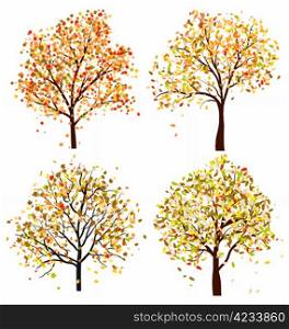 Set of four autumn tree. Vector illustration.