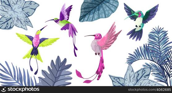 Set of four hummingbirds, hand drawn vector illustrations