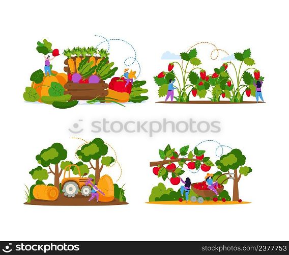 Set of four isolated harvesting compositions with flat human characters and images of plants and trees vector illustration. Harvesting Flat Compositions Set