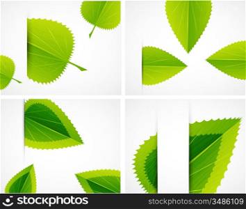 Set of four leaf designs