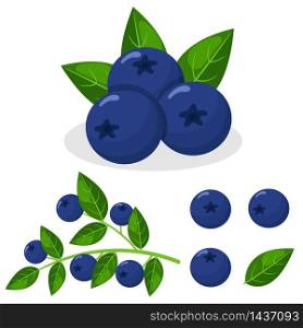 Set of fresh bright exotic blueberries isolated on white background. Summer fruits for healthy lifestyle. Organic fruit. Cartoon style. Vector illustration for any design. Set of fresh bright exotic blueberries isolated on white background. Summer fruits for healthy lifestyle. Organic fruit. Cartoon style. Vector illustration for any design.