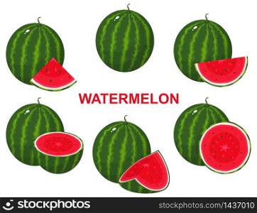 Set of fresh composition watermelon fruits isolated on white background. Summer fruits for healthy lifestyle. Organic fruit. Cartoon style. Vector illustration for any design.