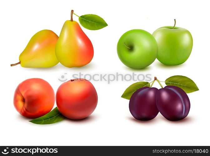 Set of fresh fruit. Vector