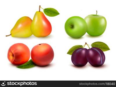Set of fresh fruit. Vector