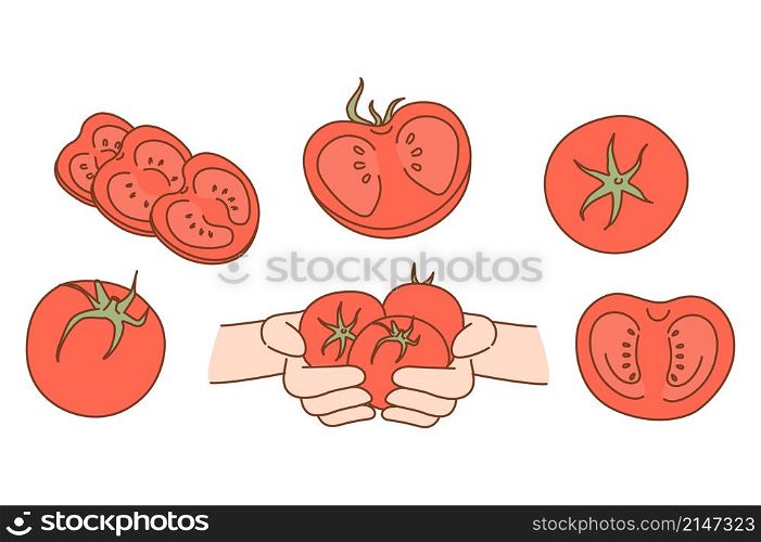 Set of fresh natural organic tomatoes. Collection of juicy bio tasty tomato vegetables. Vegetarian and diet. Food market or shop advertising. Product delivery service. Vector illustration. . Set of fresh organic tomatoes