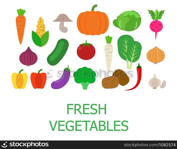 Set of fresh organic vegetables - Vector illustration