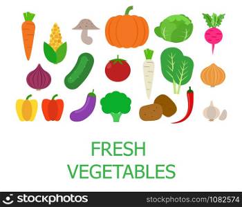 Set of fresh organic vegetables - Vector illustration