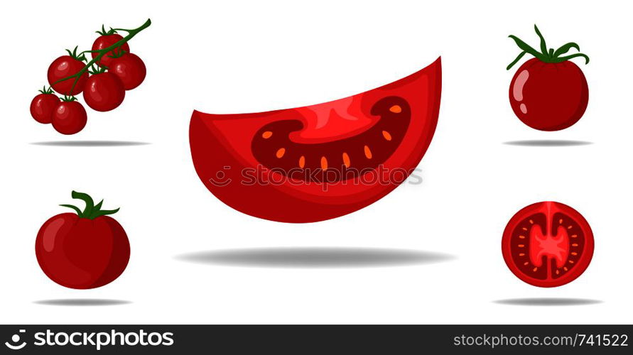 Set of Fresh Red Tomatoes isolated on white background. Branch, Whole, Half and Slice Tomato Icons for Market, Recipe Design. Organic Food. Cartoon Style. Vector illustration for Design, Web.