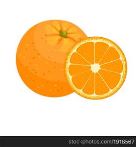 set of fresh ripe half oranges fruit. vector illustration in flat style. set of fresh ripe half oranges