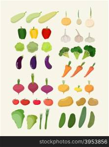 Set of fresh vegetables. Vector illustration Isolated carrot and garlic&#xA;