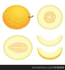 Set of fresh whole, half, cut slice melon fruit isolated on white background. Honeydew melon. Summer fruits for healthy lifestyle. Organic fruit. Cartoon style. Vector illustration for any design.