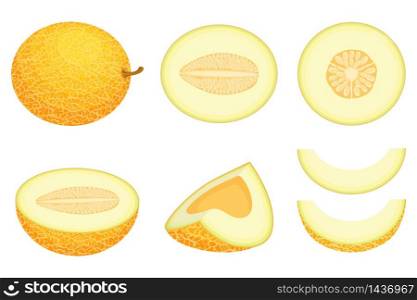 Set of fresh whole, half, cut slice melon fruit isolated on white background. Honeydew melon. Summer fruits for healthy lifestyle. Organic fruit. Cartoon style. Vector illustration for any design.