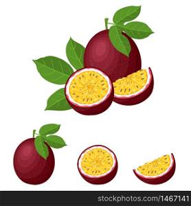 Set of fresh whole, half, cut slice passion fruits isolated on white background. Summer fruits for healthy lifestyle. Organic fruit. Cartoon style. Vector illustration for any design.