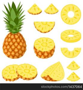 Set of fresh whole, half, cut slice pineapple fruits isolated on white background. Summer fruits for healthy lifestyle. Organic fruit. Cartoon style. Vector illustration for any design.