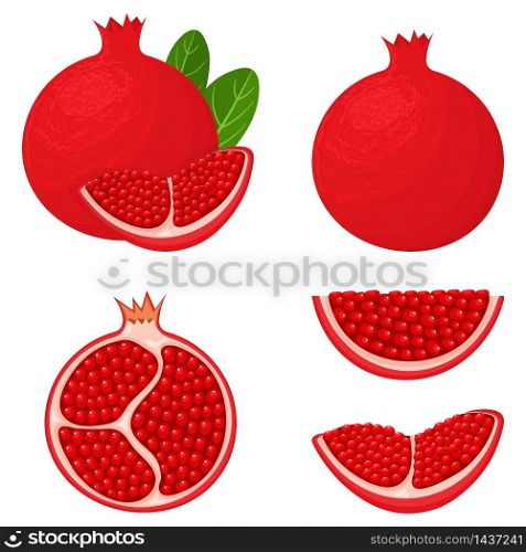 Set of fresh whole, half, cut slice pomegranate fruits isolated on white background. Summer fruits for healthy lifestyle. Organic fruit. Cartoon style. Vector illustration for any design. Set of fresh whole, half, cut slice pomegranate fruits isolated on white background. Summer fruits for healthy lifestyle. Organic fruit. Cartoon style. Vector illustration for any design.