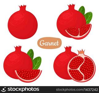 Set of fresh whole, half, cut slice pomegranate fruits isolated on white background. Summer fruits for healthy lifestyle. Organic fruit. Cartoon style. Vector illustration for any design. Set of fresh whole, half, cut slice pomegranate fruits isolated on white background. Summer fruits for healthy lifestyle. Organic fruit. Cartoon style. Vector illustration for any design.