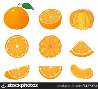 Set of fresh whole, half, cut slice tangerine or mandarin fruits isolated on white background. Summer fruits for healthy lifestyle. Organic fruit. Cartoon style. Vector illustration for any design. Set of fresh whole, half, cut slice tangerine or mandarin fruits isolated on white background. Summer fruits for healthy lifestyle. Organic fruit. Cartoon style. Vector illustration for any design.