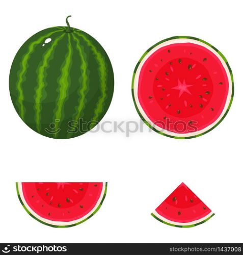 Set of fresh whole, half, cut slice watermelon fruit isolated on white background. Summer fruits for healthy lifestyle. Organic fruit. Cartoon style. Vector illustration for any design.
