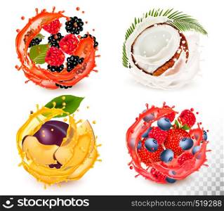 Set of fruit juice splash . Strawberry, blackberry, raspberry, blueberry, plum, coconut. Vector