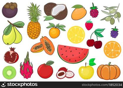 Set of fruits and berries vector illustration. A large set of summer exotic fruits, juicy and ripe berries. Organic healthy food.. Set of fruits and berries vector illustration.