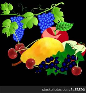 set of fruits. Pear an apple a cherry a currant grapes