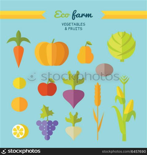 Set of fruits vegetables vector. Flat design. Eco farm. Carrot, pumpkin, pear, apple, cabbage, beets, radishes, lemon grapes corn potatoe illustrations for conceptual banners icons infographic. Eco Farm Conceptual Vector in Flat Style Design.