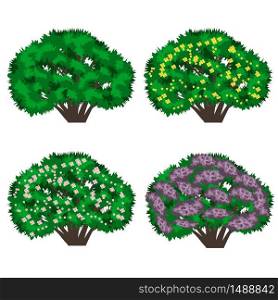 Set of garden bushes. Bushes with flowers in blossom isolated on white background. Use as landscape element for garden scene creating. Vector illustration