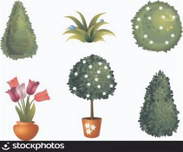 Set of garden plants with flowers and leaves