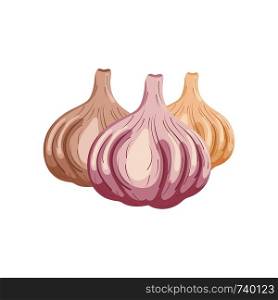 Set of garlics isolated on white background. Organic food. Cartoon style. Vector illustration for design.