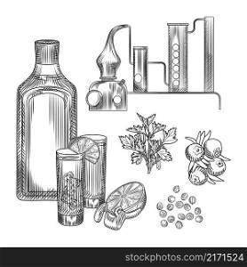 Set of gin in hand drawn style on white background.glasses with gin and tonic cocktail, alembic, coriander, lemon peel. Element for bar menu design. Engraving vintage isolated vector illustration.. Set of gin in hand drawn style on white background.glasses with gin and tonic cocktail, alembic, coriander, lemon peel.